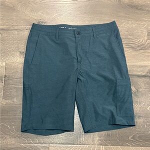Men's Blue Stripe 19” Board Shorts